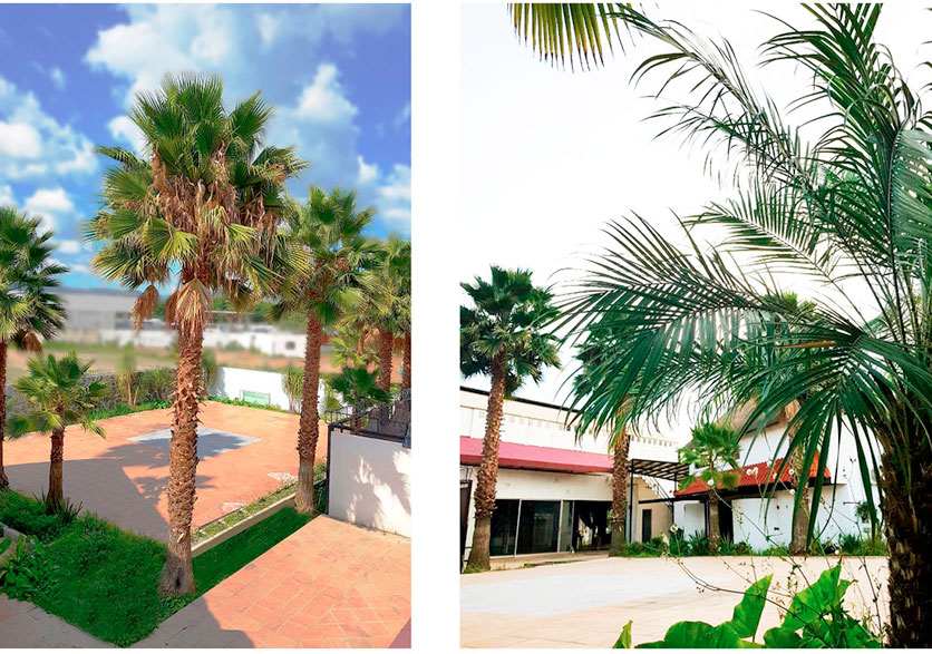 Campestre Center Jardín